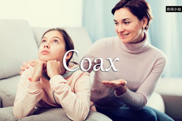 小词详解 | coax