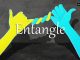 小词详解 | entangle
