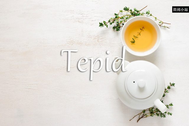 小词详解 | tepid