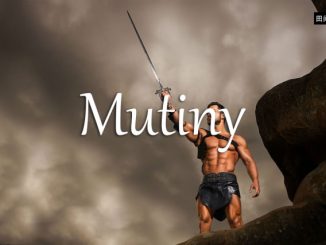 小词详解 | mutiny