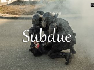 小词详解 | subdue