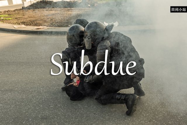 小词详解 | subdue