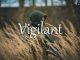 小词详解 | vigilant