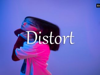 小词详解 | distort