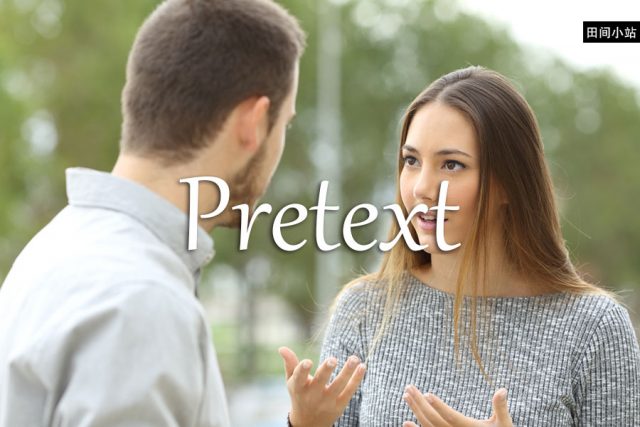 小词详解 | pretext