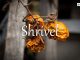 小词详解 | shrivel