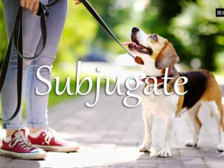 小词详解 | subjugate