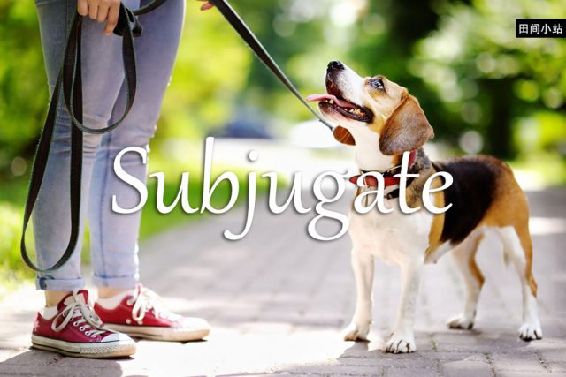 小词详解 | subjugate