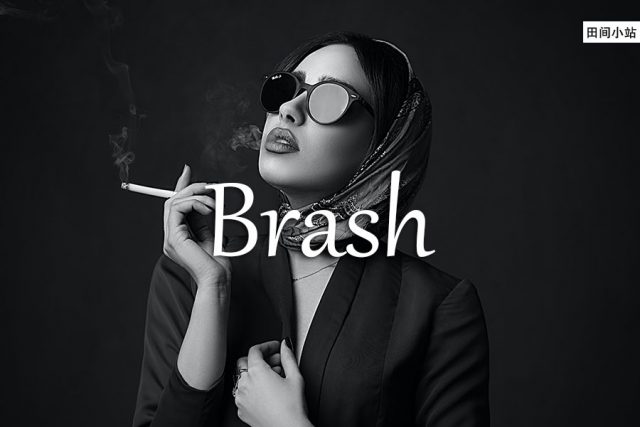 小词详解 | brash