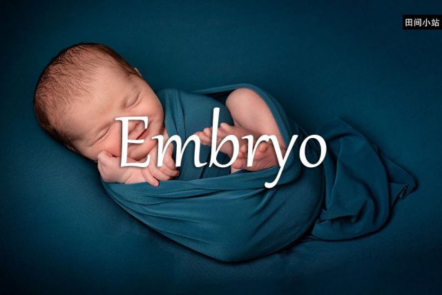 小词详解 | embryo