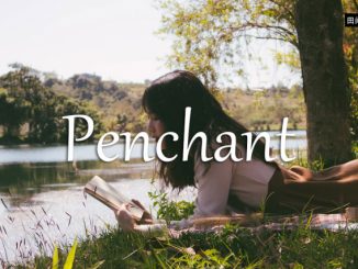 小词详解 | penchant