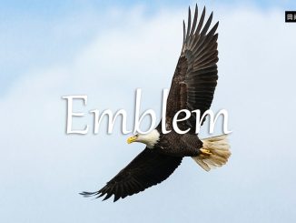 小词详解 | emblem