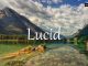 小词详解 | lucid