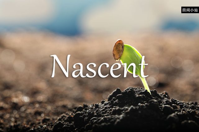 小词详解 | nascent