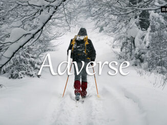 小词详解 | adverse