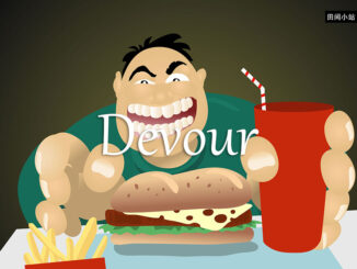 小词详解 | devour