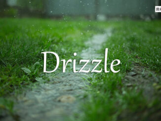 小词详解 | drizzle