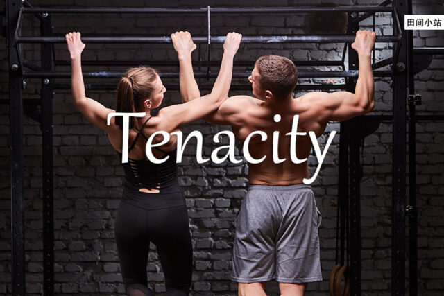 小词详解 | tenacity