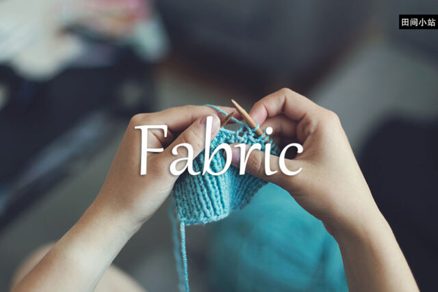 小词详解 | fabric