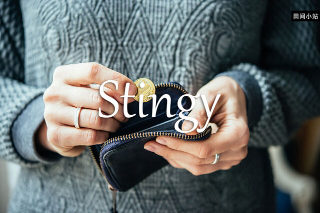 小词详解 | stingy