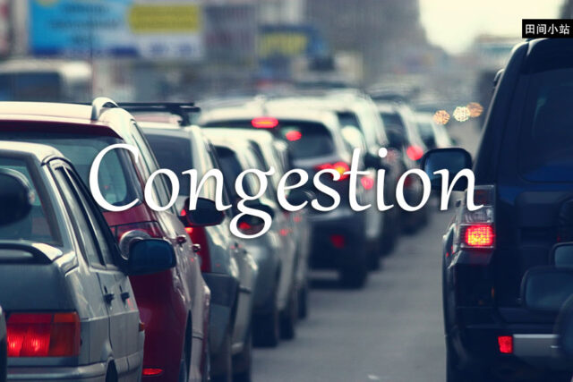 小词详解 | congestion