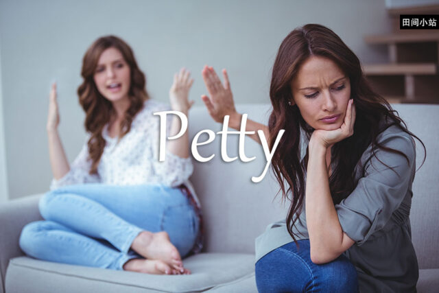 小词详解 | petty