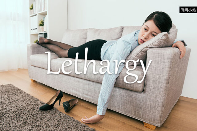 小词详解 | lethargy