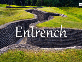 小词详解 | entrench