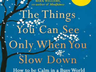 慢下来才能看见的东西（The Things You Can See Only When You Slow Down）高清 PDF ePub mobi 下载