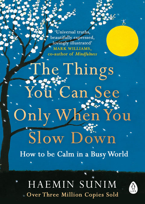 慢下来才能看见的东西（The Things You Can See Only When You Slow Down）高清 PDF ePub mobi 下载