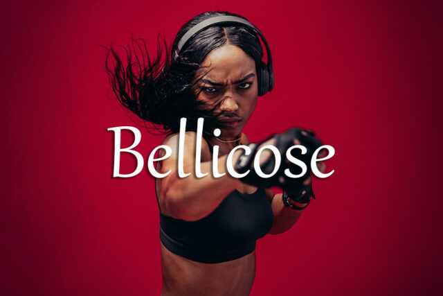 《经济学人》每日一词:bellicose