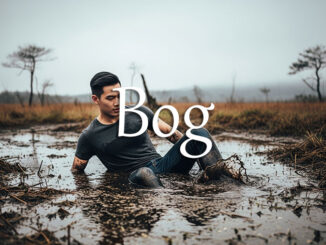 《经济学人》每日一词：bog