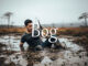 《经济学人》每日一词：bog