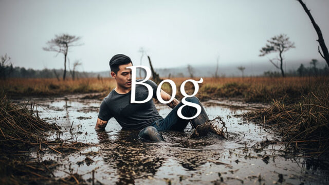《经济学人》每日一词:bog