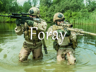 《经济学人》每日一词：foray