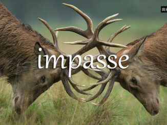 《经济学人》每日一词：impasse