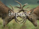 《经济学人》每日一词：impasse