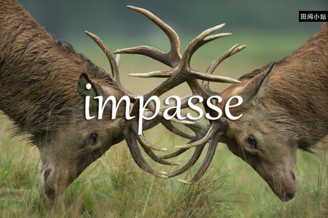 《经济学人》每日一词:impasse