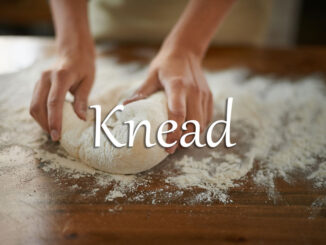 《经济学人》每日一词：knead