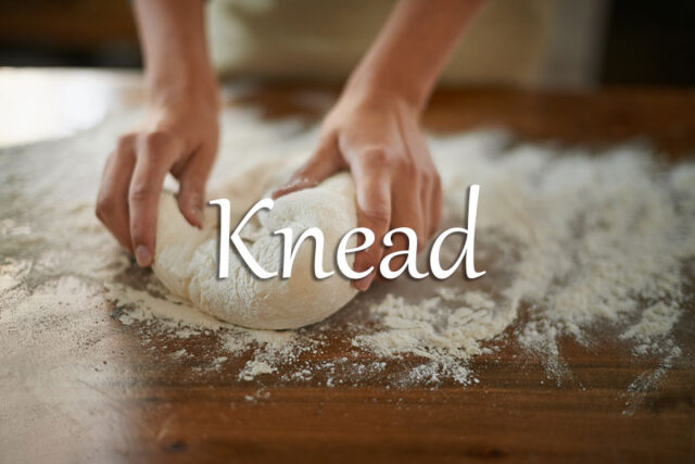 《经济学人》每日一词:knead