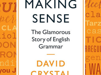 好书推荐 | 英语语法的故事