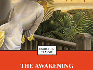 觉醒（The Awakening）PDF ePub mobi 下载