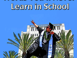 101 English Words Youll Never Learn in School 高清 PDF 下载