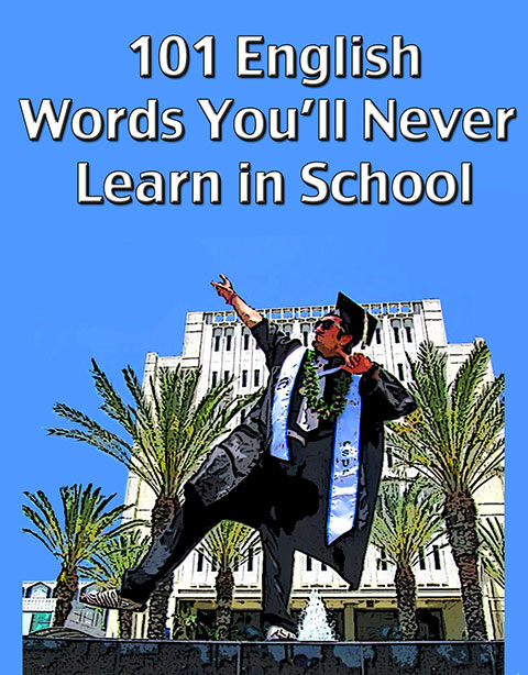 101 English Words Youll Never Learn in School 高清 PDF 下载