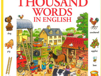 The Usborne First Thousand Words in English 高清PDF下载