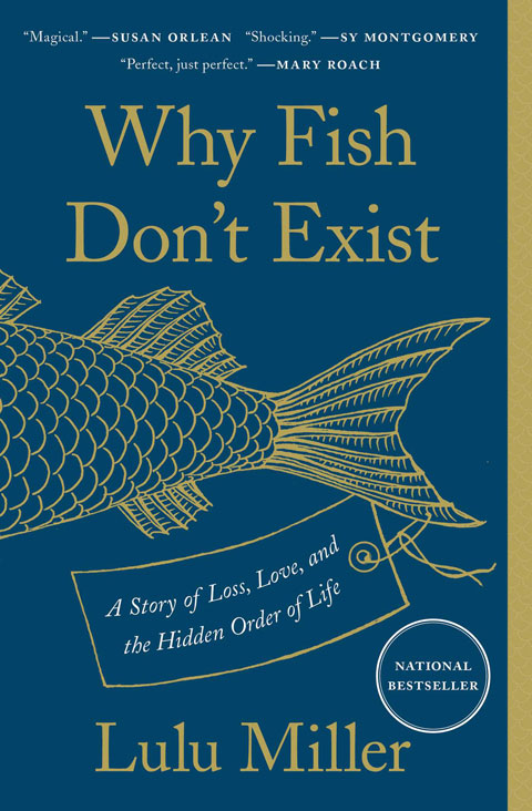 鱼为什么不存在（Why Fish Don’t Exist） PDF ePub mobi 下载