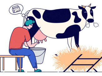 熟词僻义 | milk 如何榨取？