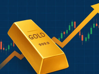 熟词僻义 | 当 rally 遇上 gold