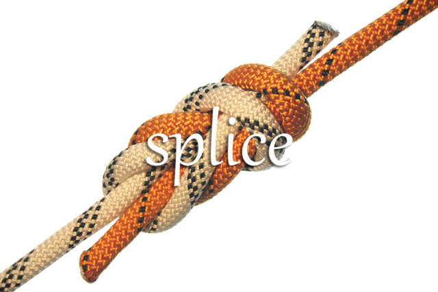 《经济学人》每日一词：splice