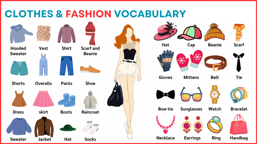 精通英语词汇100主题 | 第10期(上)